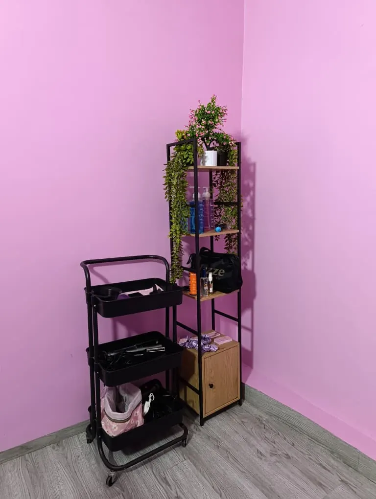 Rincón del salón con estante, plantas y carrito de herramientas