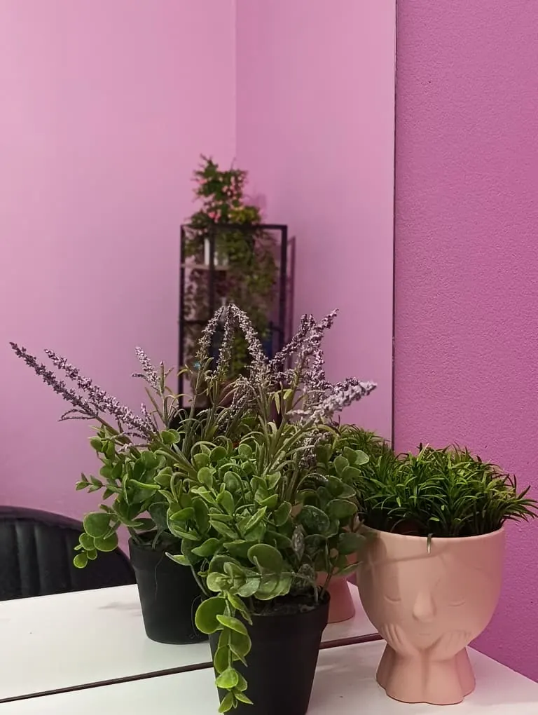 Detalle del salón: plantas y macetas decorativas sobre el tocador